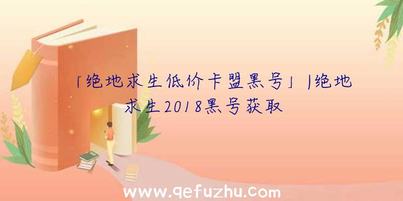 「绝地求生低价卡盟黑号」|绝地求生2018黑号获取